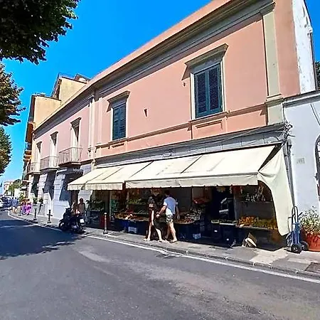 La Magnolia - Centre 酒店 *