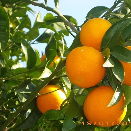 La Magnolia - Centre Готель