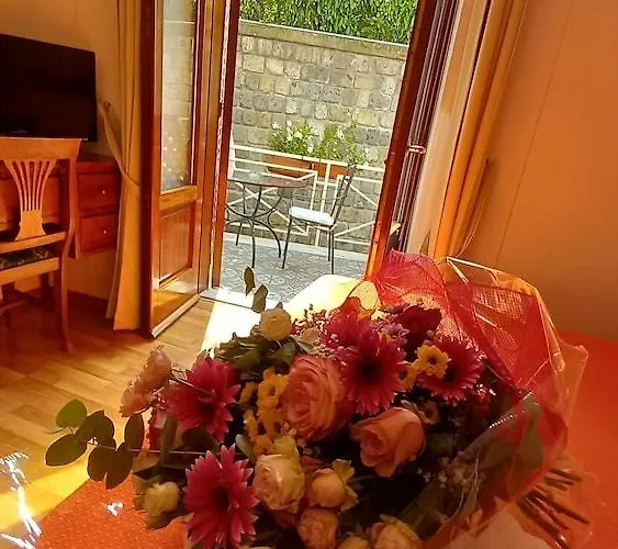 La Magnolia - Centre *