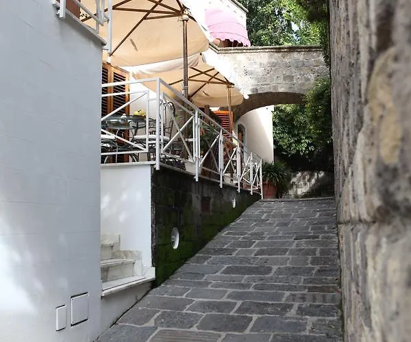 La Magnolia - Centre